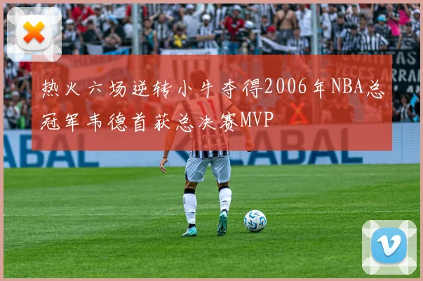 热火六场逆转小牛夺得2006年NBA总冠军韦德首获总决赛MVP
