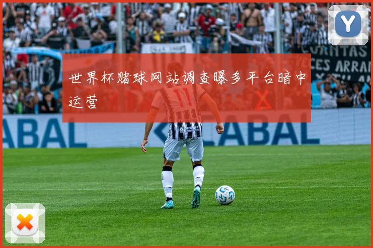 世界杯赌球网站调查曝多平台暗中运营