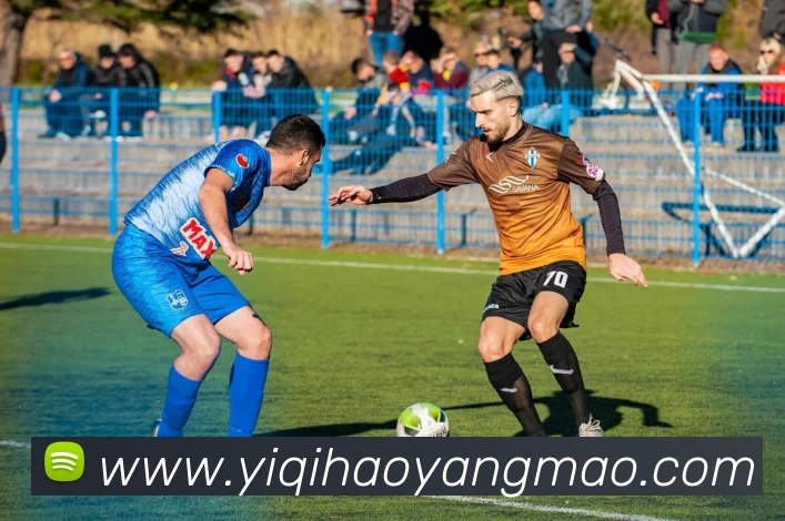 App Interface Preview